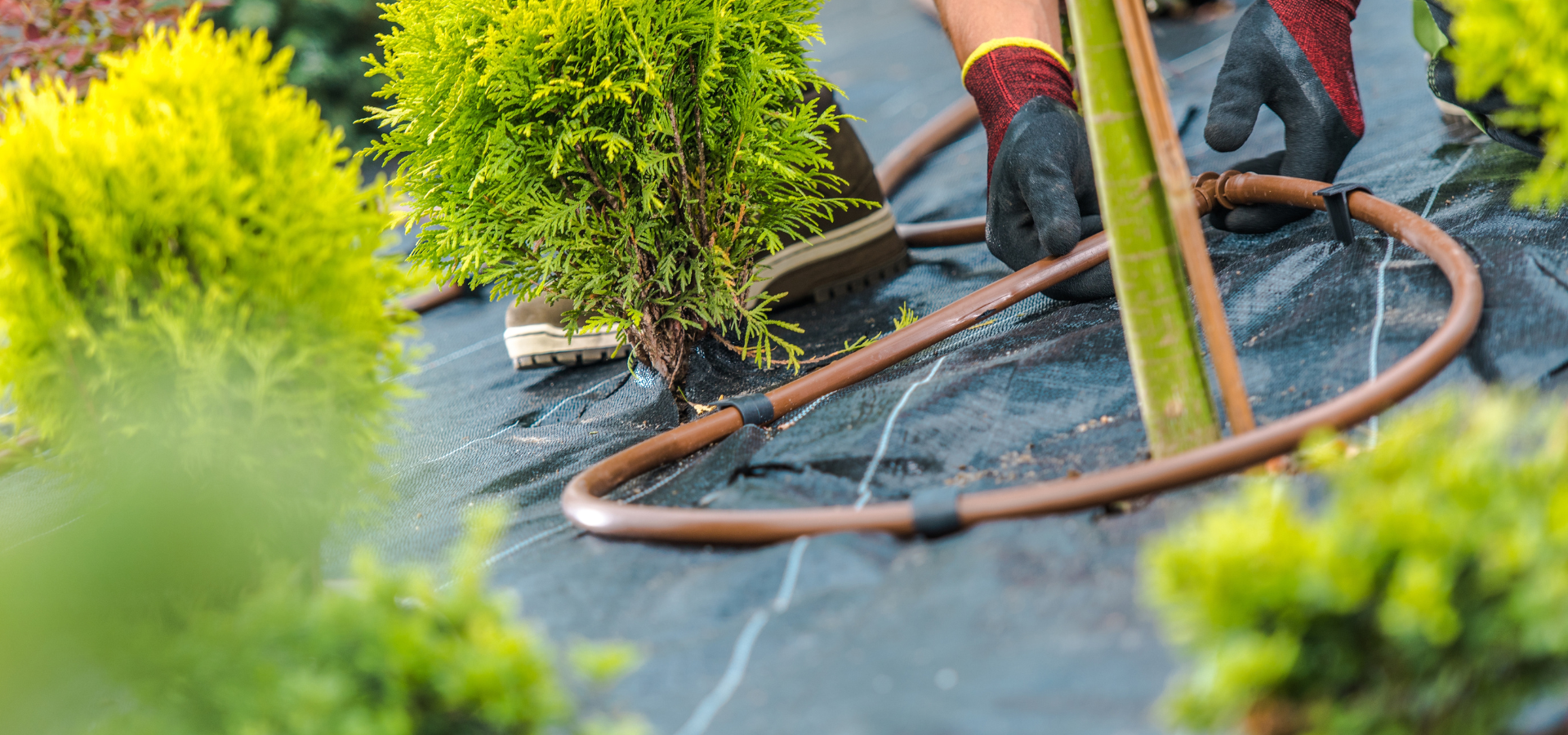 A landscaper from Louisville Landscape Pros building an irrigation system for a client