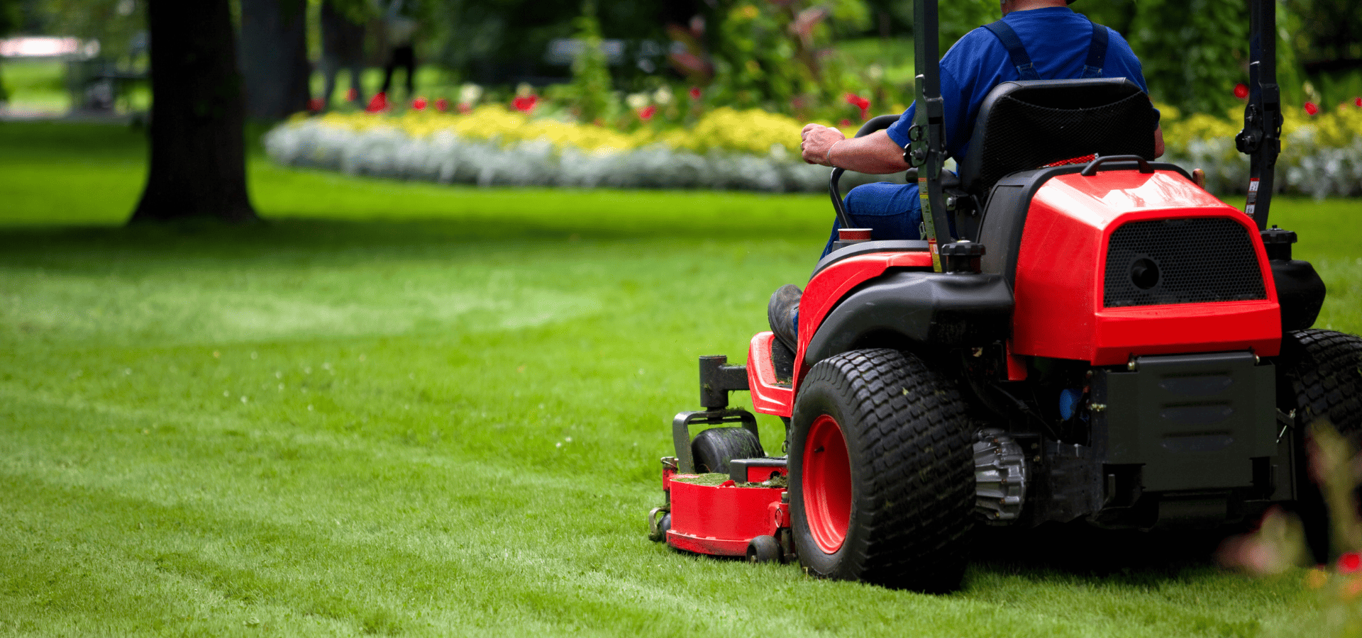Landscaper mowing a client's lawn in Louisville with a riding lawn mower during summer