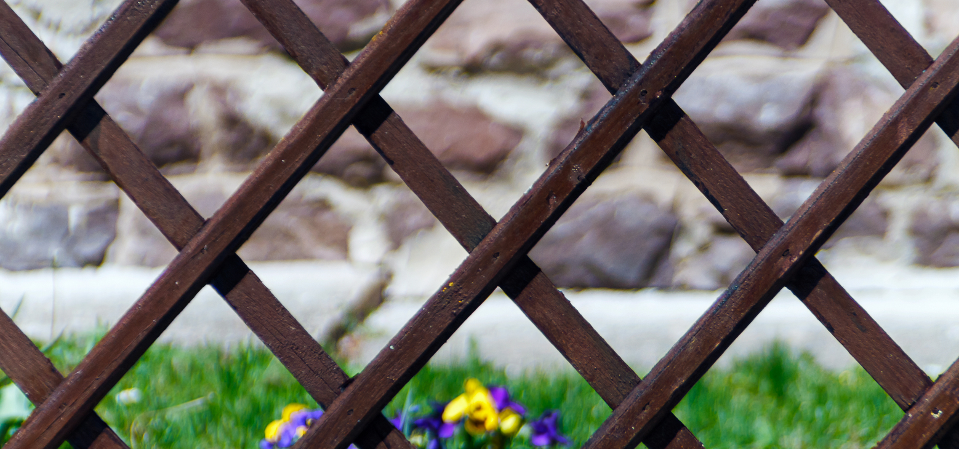 Lattice panels fence privacy screen in a garden in Louisville