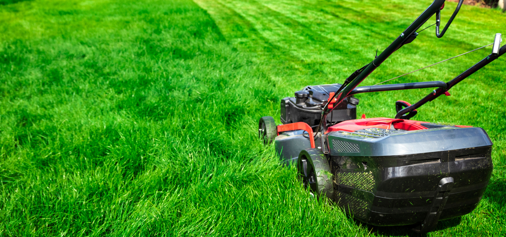 Lawn care expert from Louisville Landscape Pros mowing tall grass with a lawn mower at a client's home