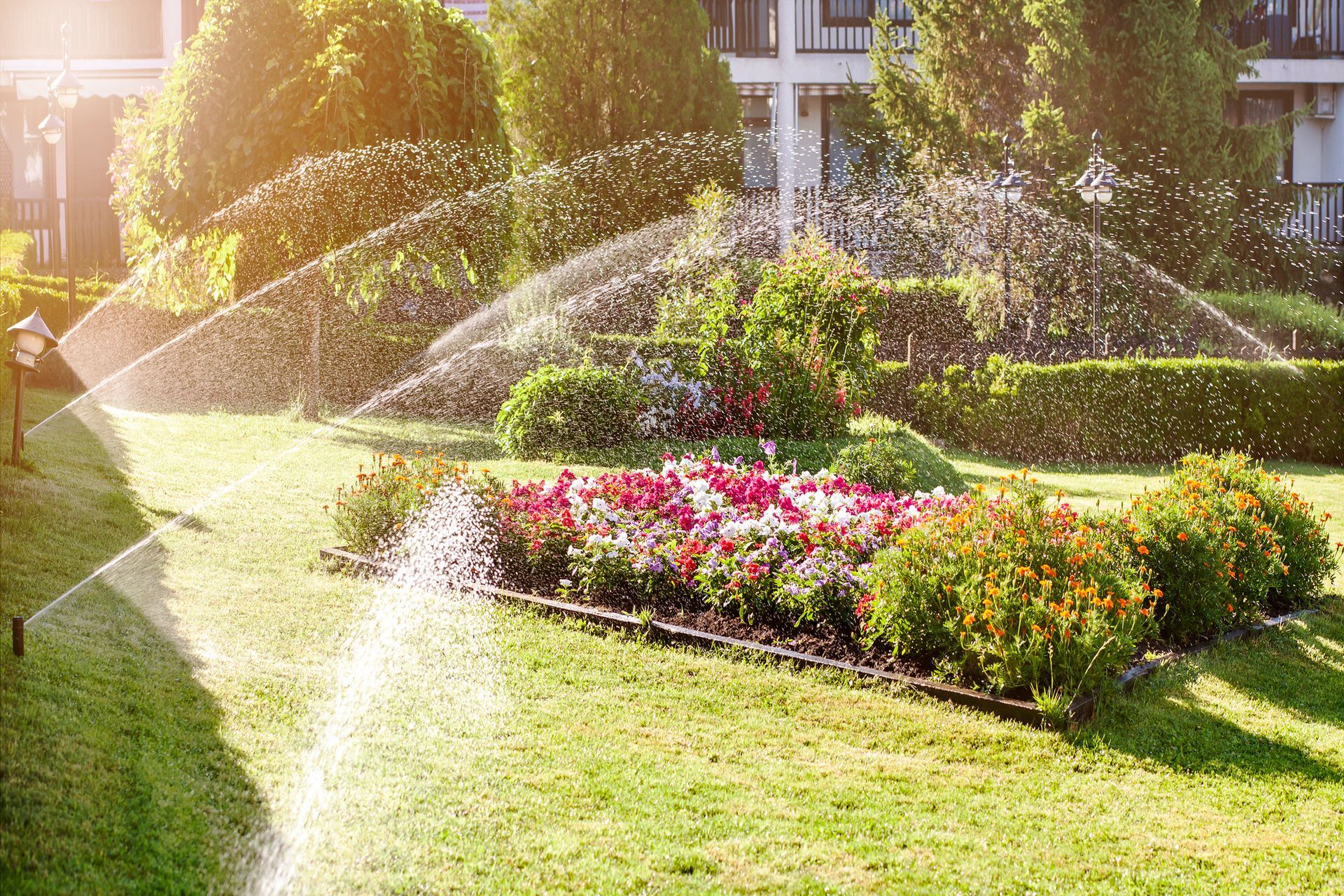 A sprinkler is spraying water on a lush green lawn.