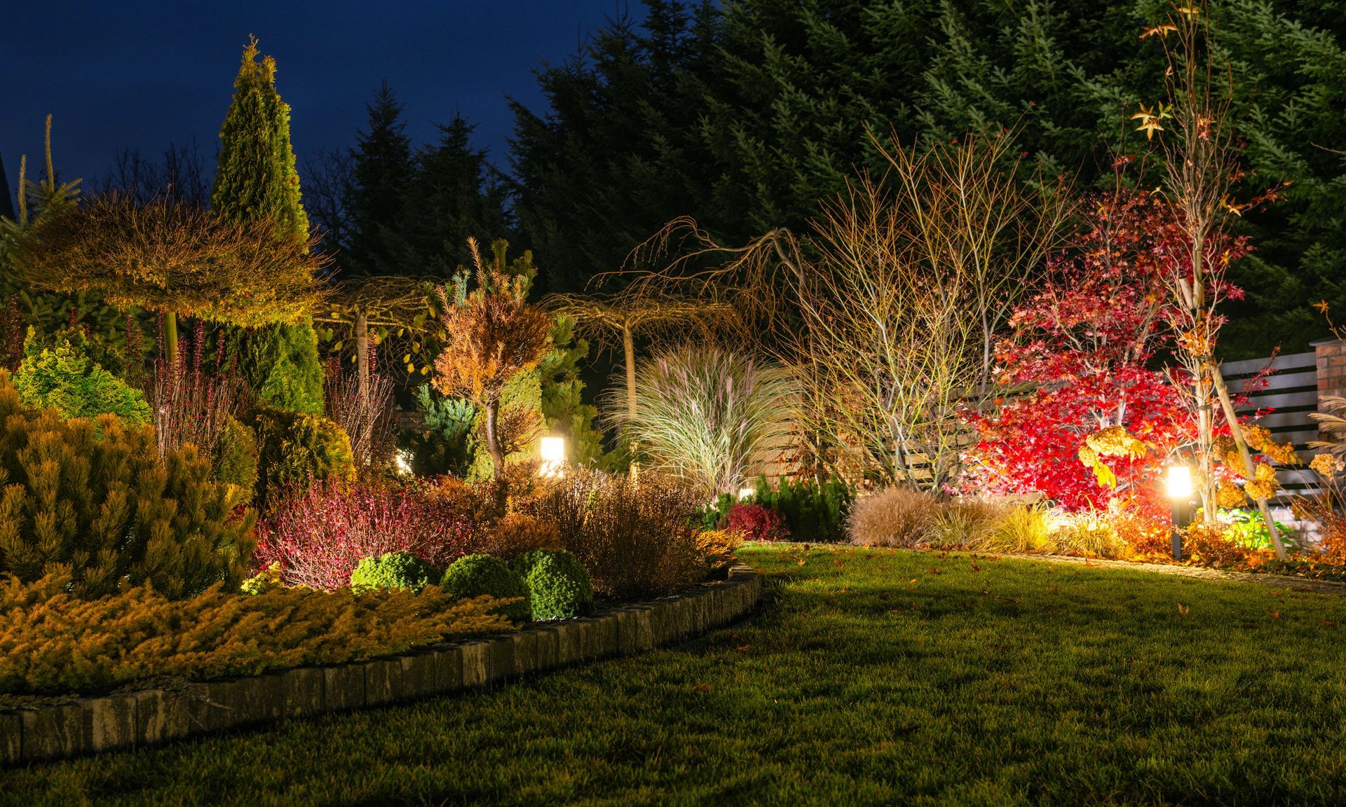 A garden is lit up at night with lots of trees and bushes.