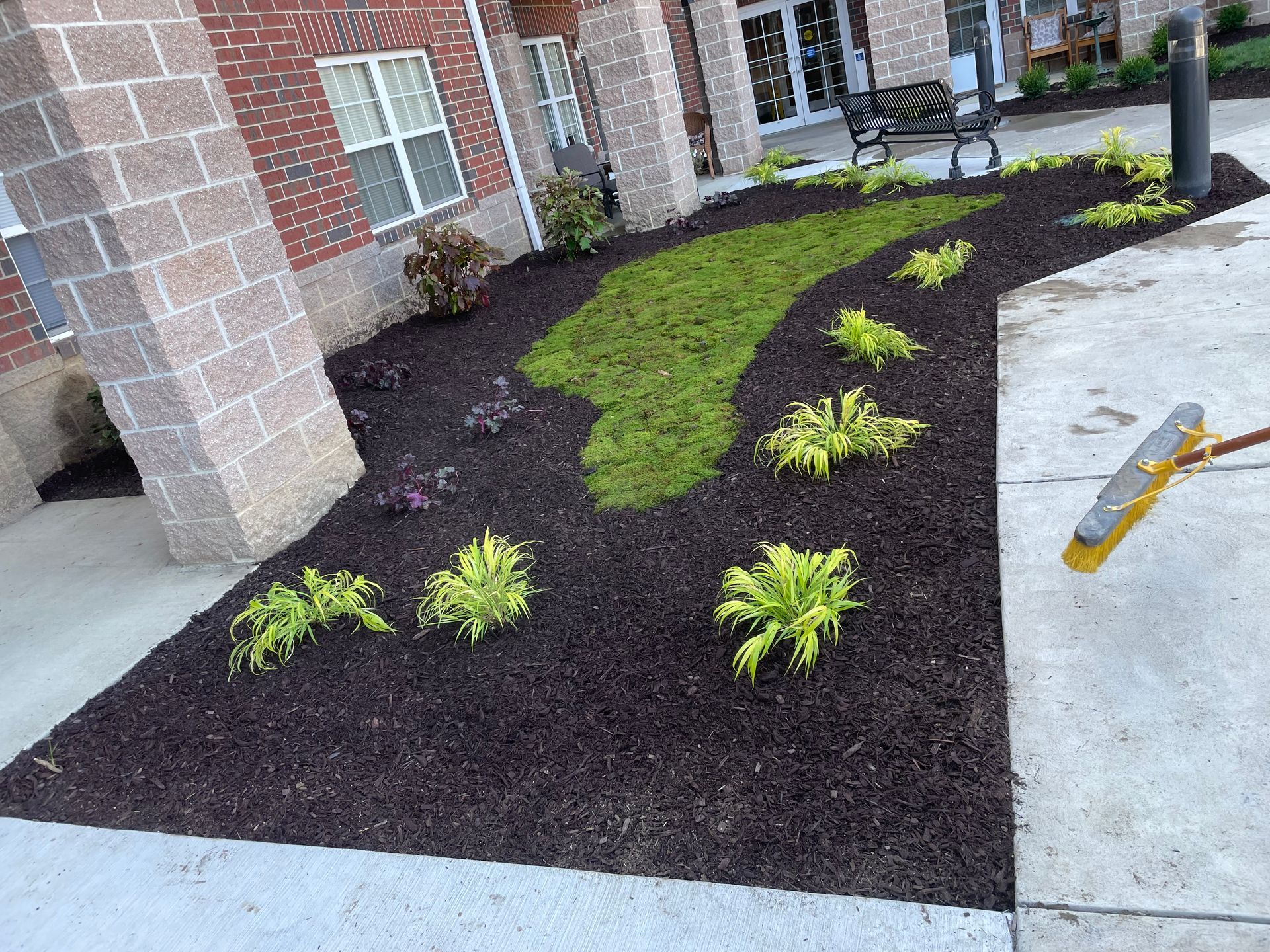 A broom is sitting on the sidewalk next to a lush green garden.