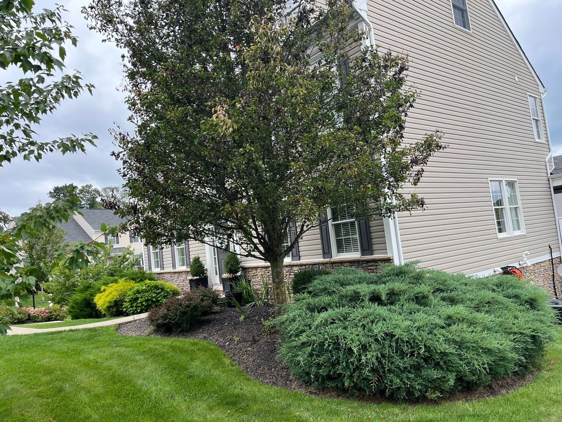 A large house with a large tree in front of it.