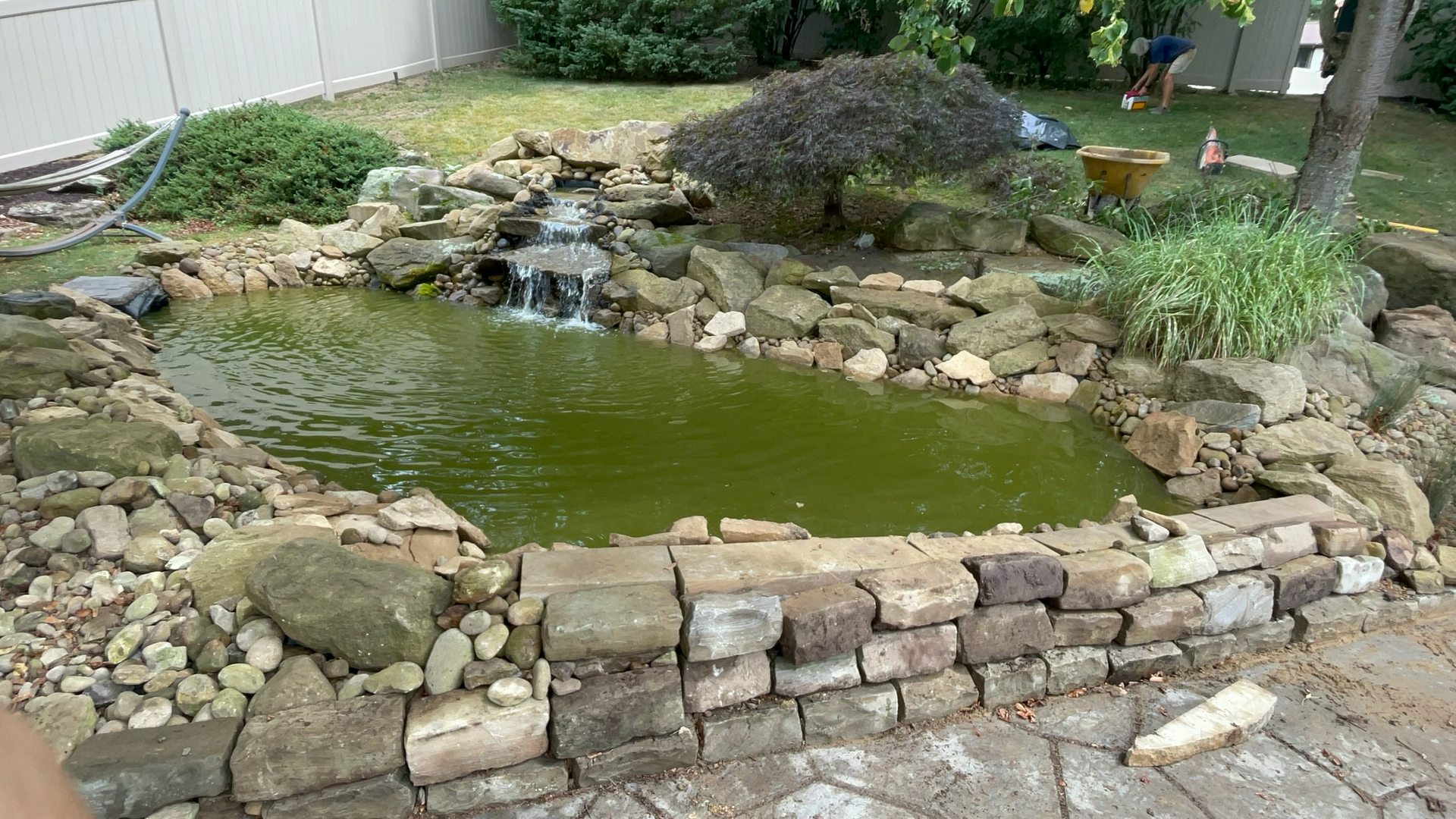A pond with a waterfall in the middle of it in a backyard.