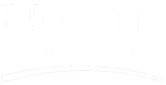 A white background with a curve in the middle of it.