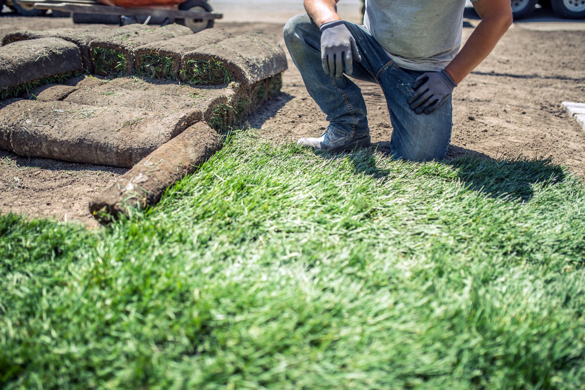 A man is kneeling on top of a lush green field of grass.
