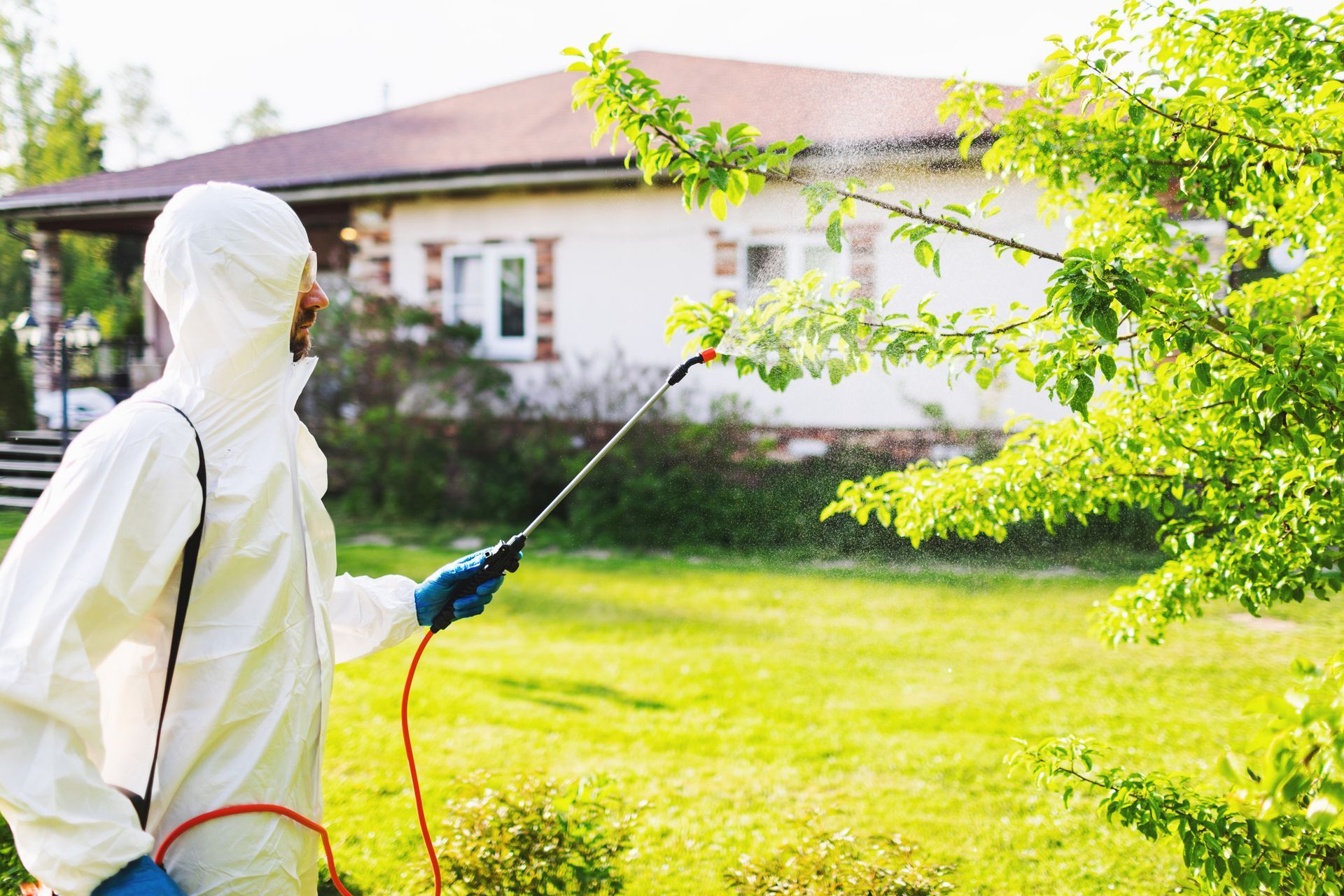 A man in a protective suit is spraying trees in front of a house.