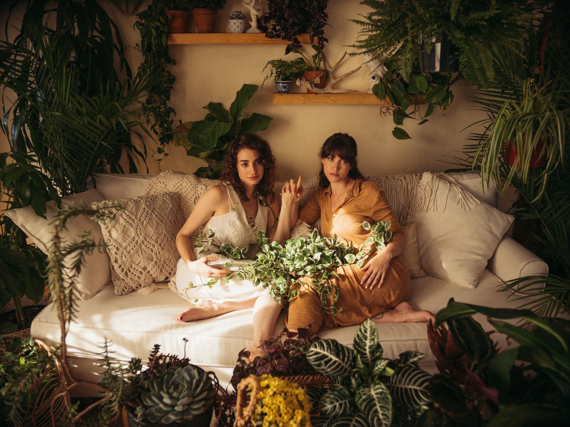 Beth Triffon and Talia Tabin writers and directors or House Plants the short film