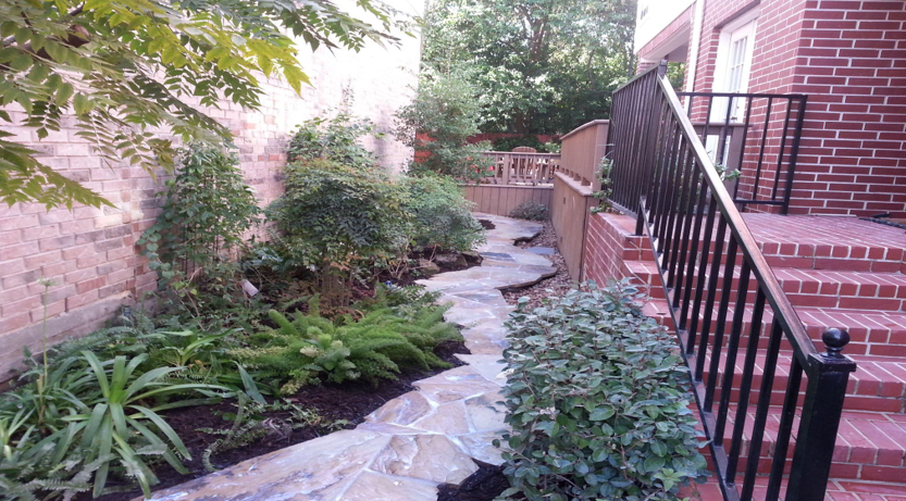 A swimming pool surrounded by lots of plants and trees