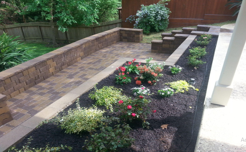 A pond filled with water lilies and other plants.