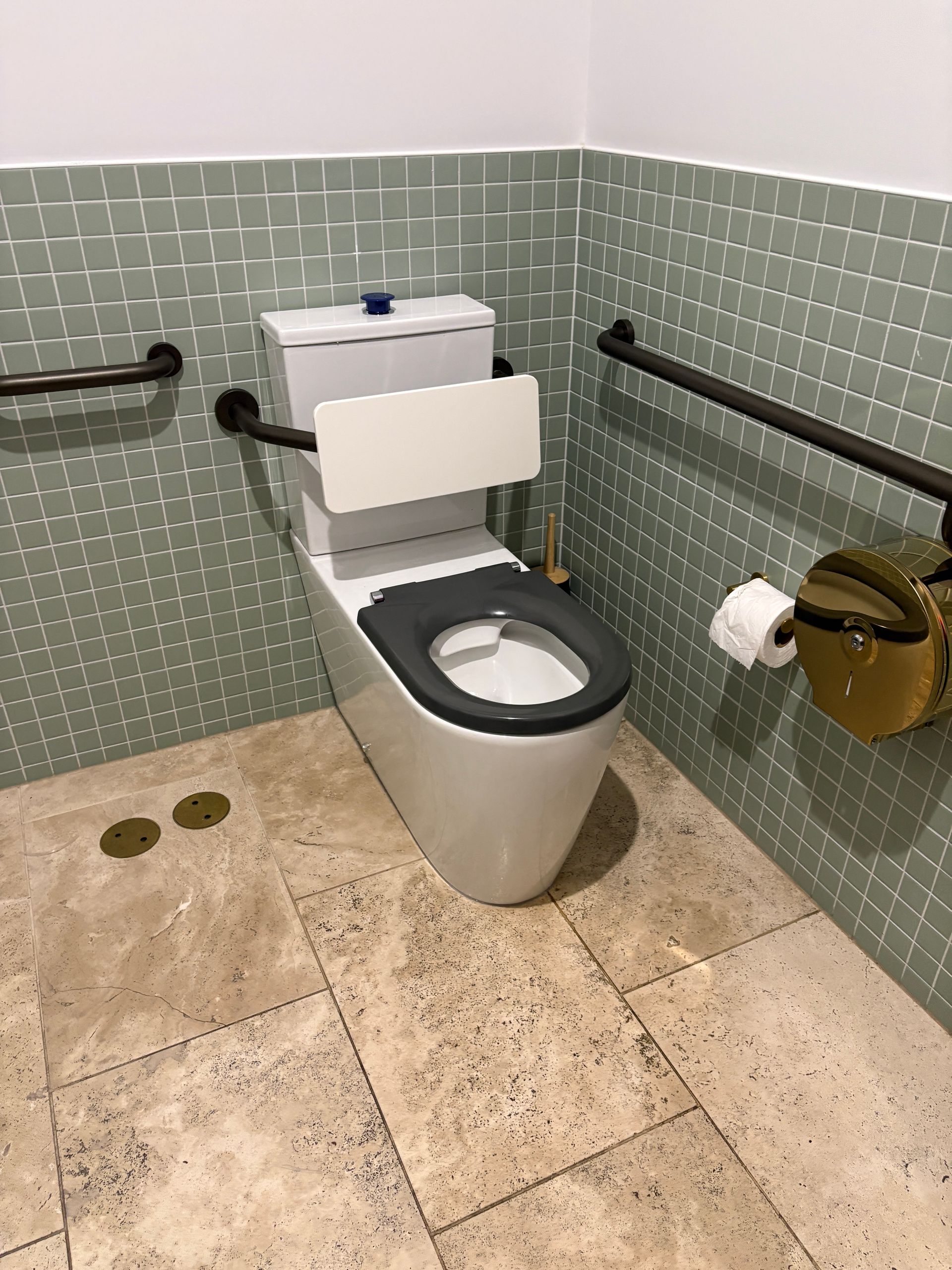 A toilet in a bathroom with grab bars, a raised seat, and a wall-mounted toilet paper holder.