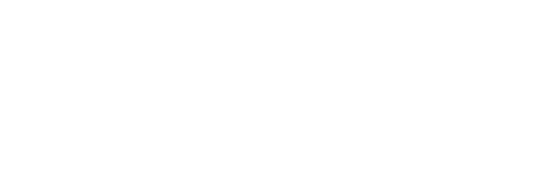 premier properties logo