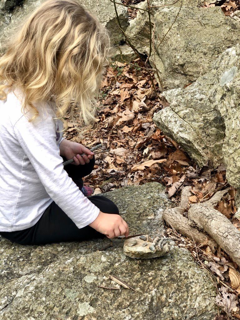 Girl Wearing Gray – West River, MD – River’s Edge Forest Play
