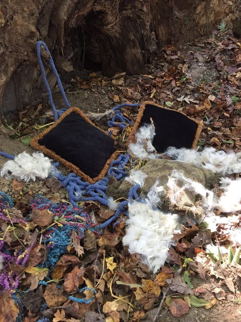 Trash In The Forest – West River, MD – River’s Edge Forest Play