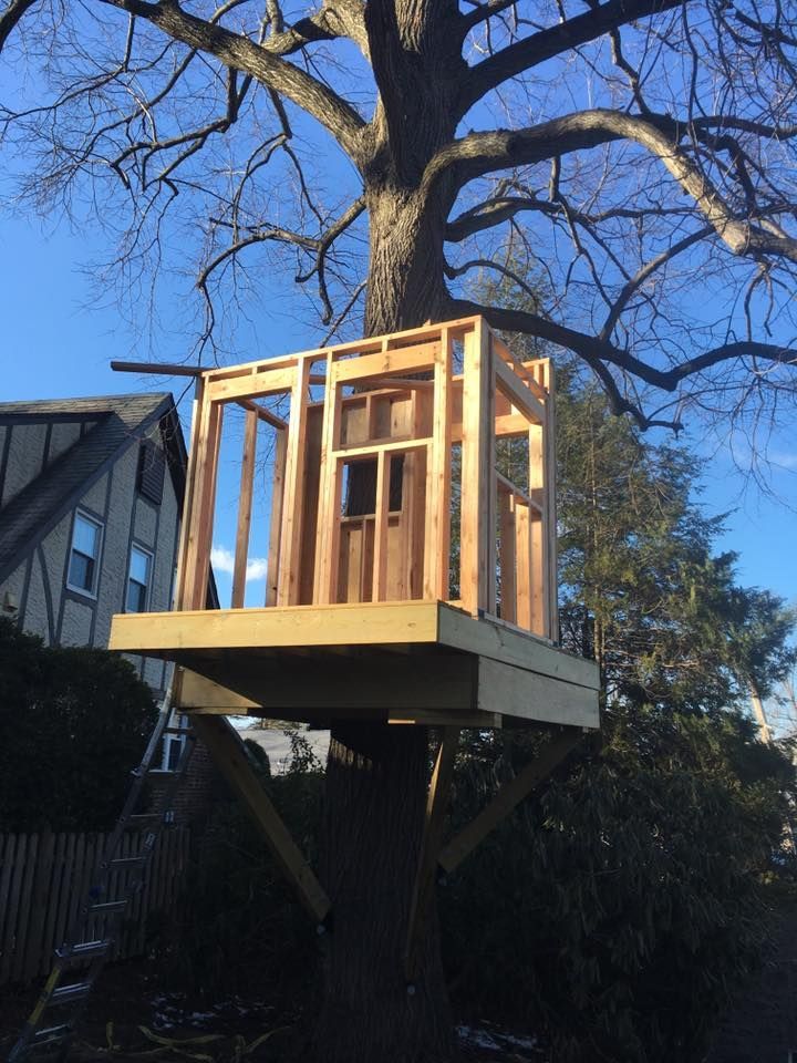 Construction of a Tree House