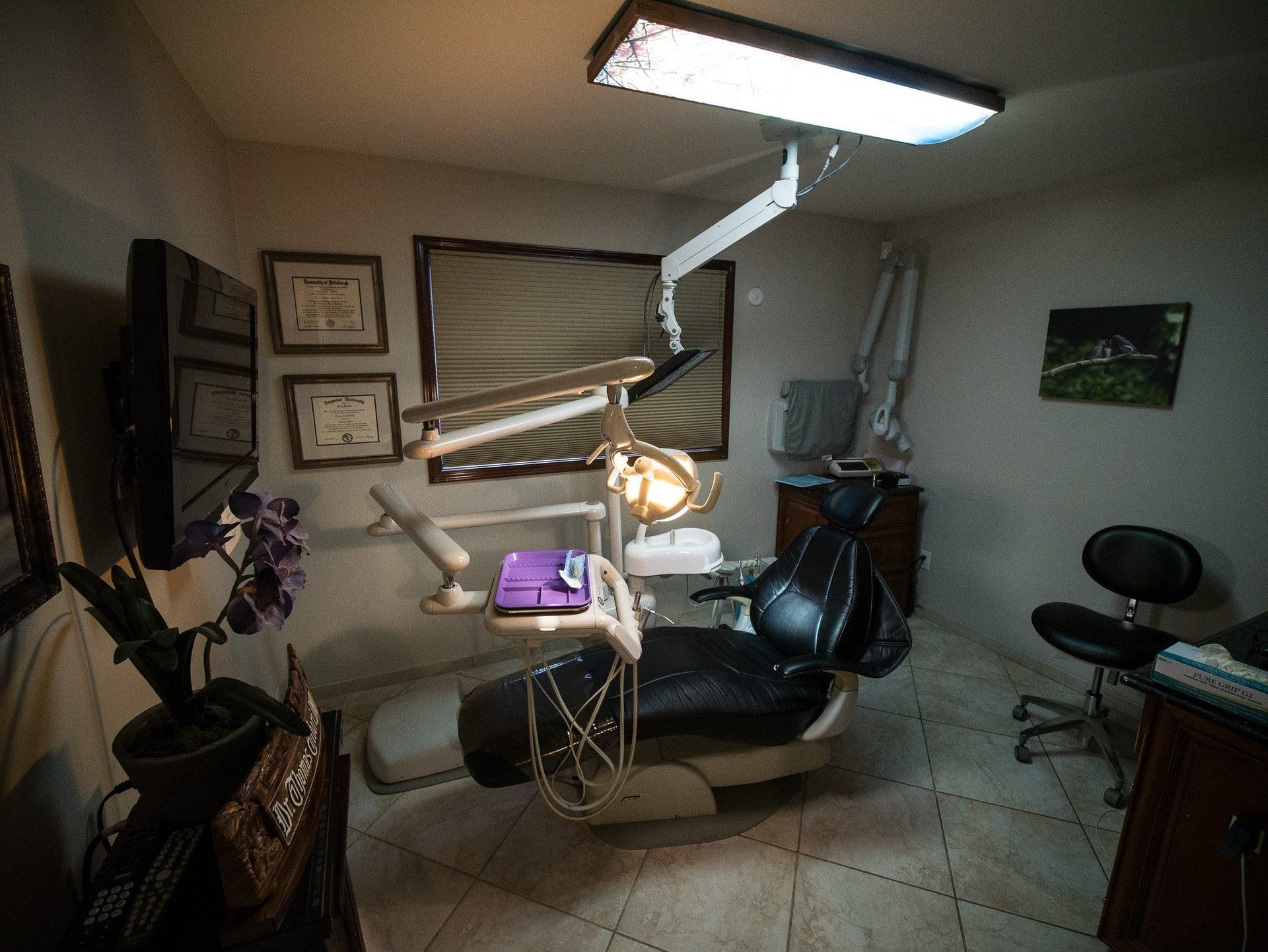 Preventive Dentistry Bridgeport, CT