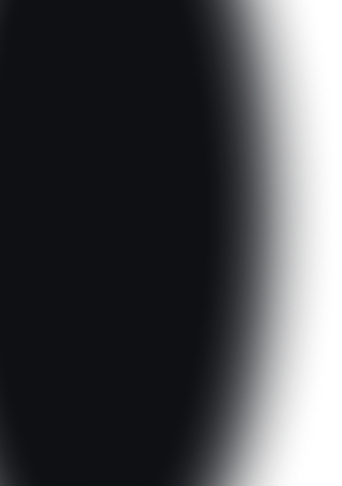 Black Shadow | Auto Check Sugar Land