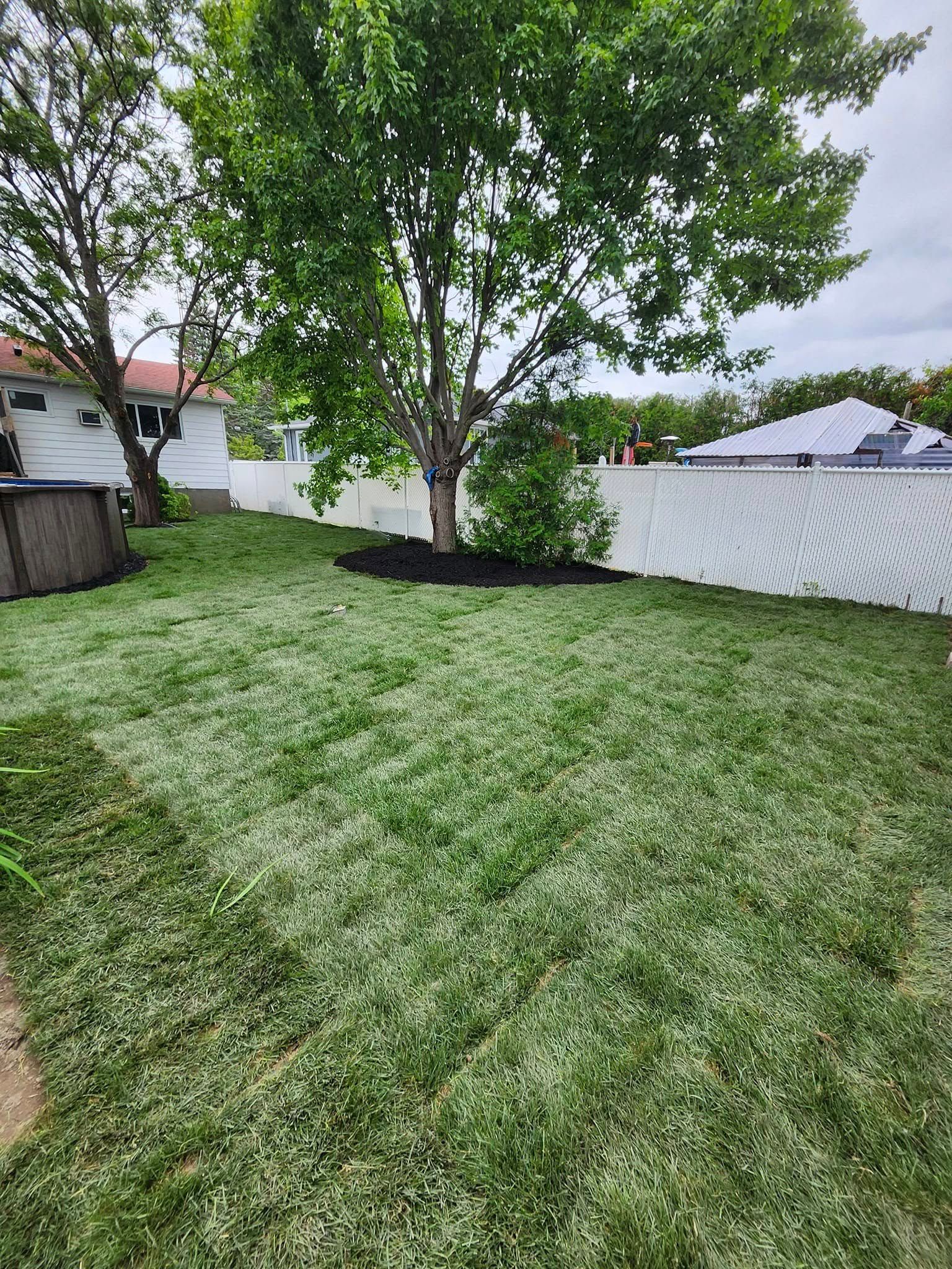 Une cour arrière fraîchement engazonnée, avec un arbre et une clôture blanche.