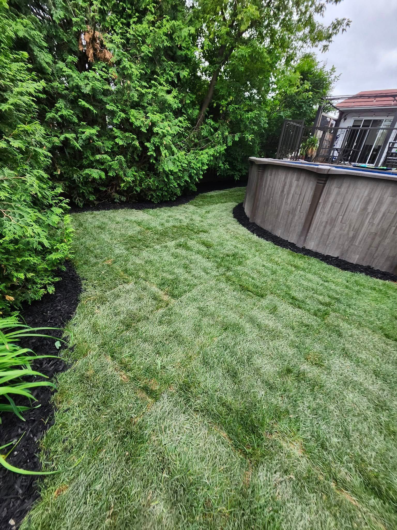 Pelouse verte bordée de paillis foncé, jouxtant des buissons verts et une piscine hors sol.