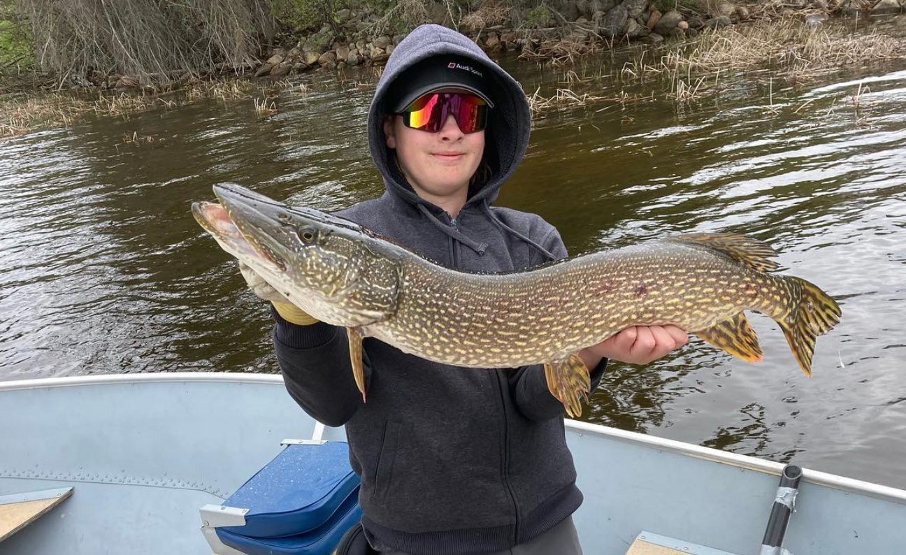 A man in a boat is holding a large fish in his hands.