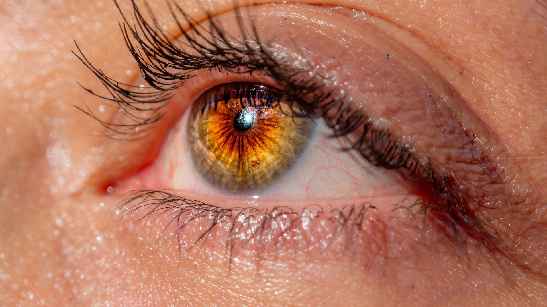 A close up of a woman 's eye with long eyelashes.