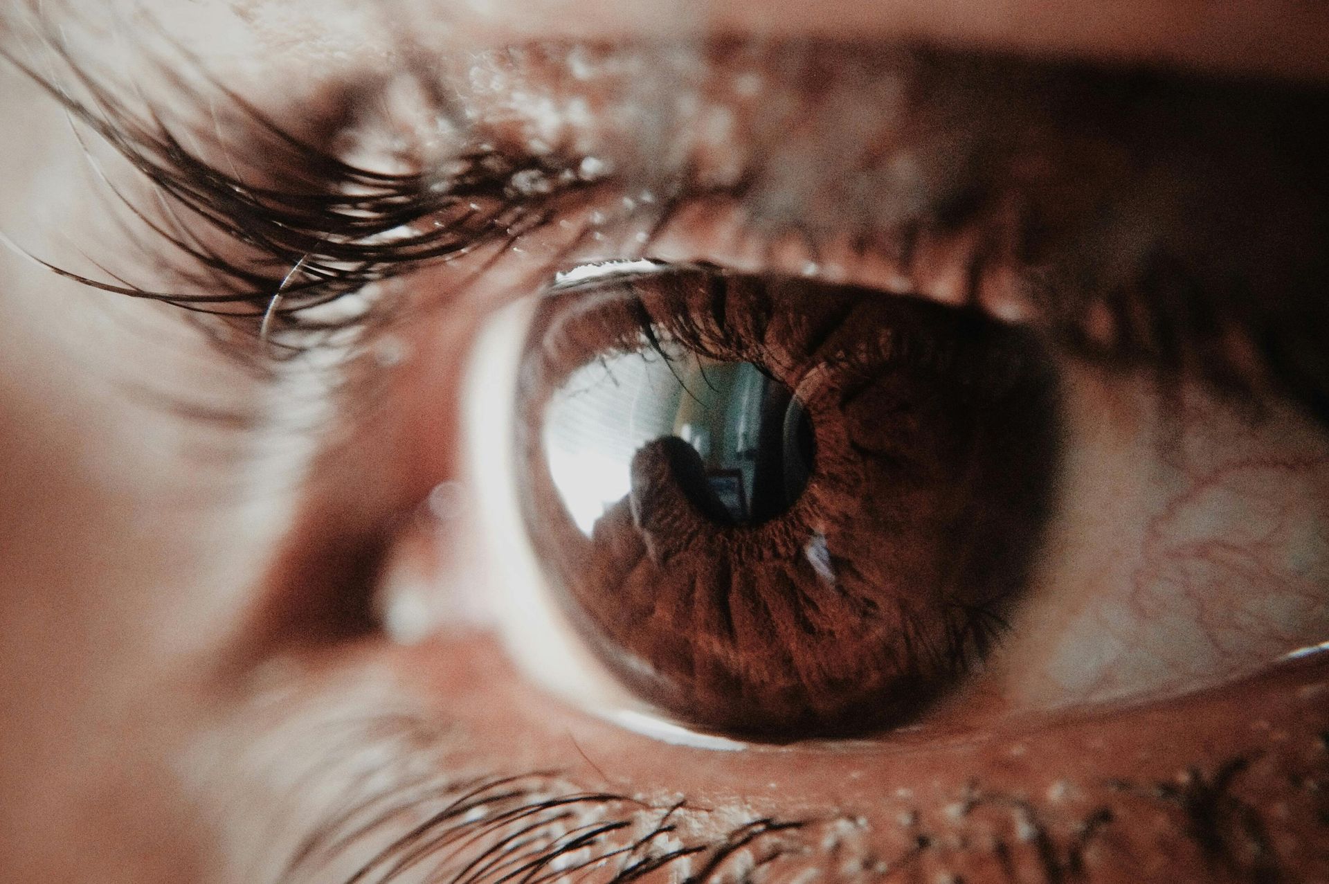 A close up of a woman 's brown eye with long eyelashes.