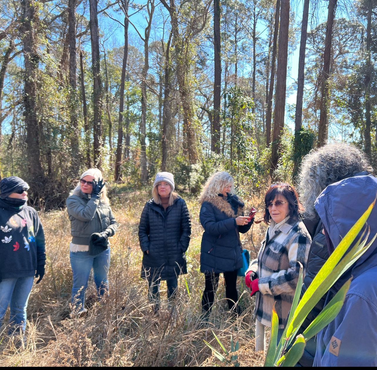A group of people standing in a field with trees in the background