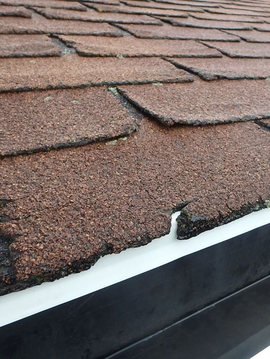 Damaged roof shingles