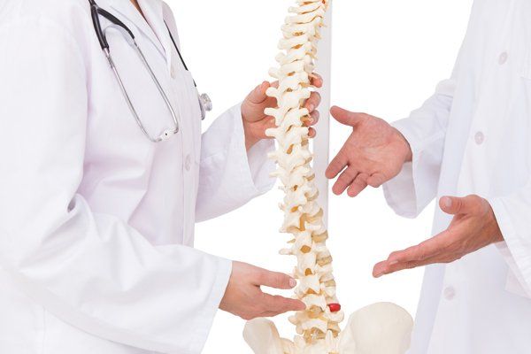 Doctors Discussing Spine Model  - Chiropractic Services in Mackay, QLD