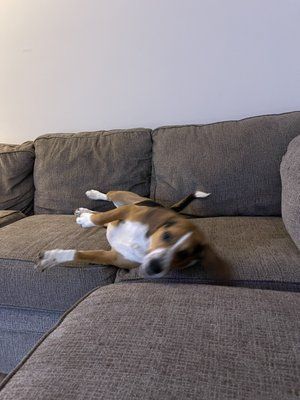 John B Laundry Oreo the best employee servicing in Massachusetts Regions