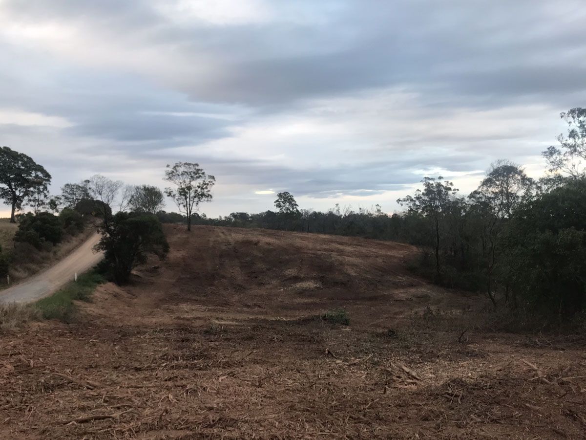 Vegetation Management