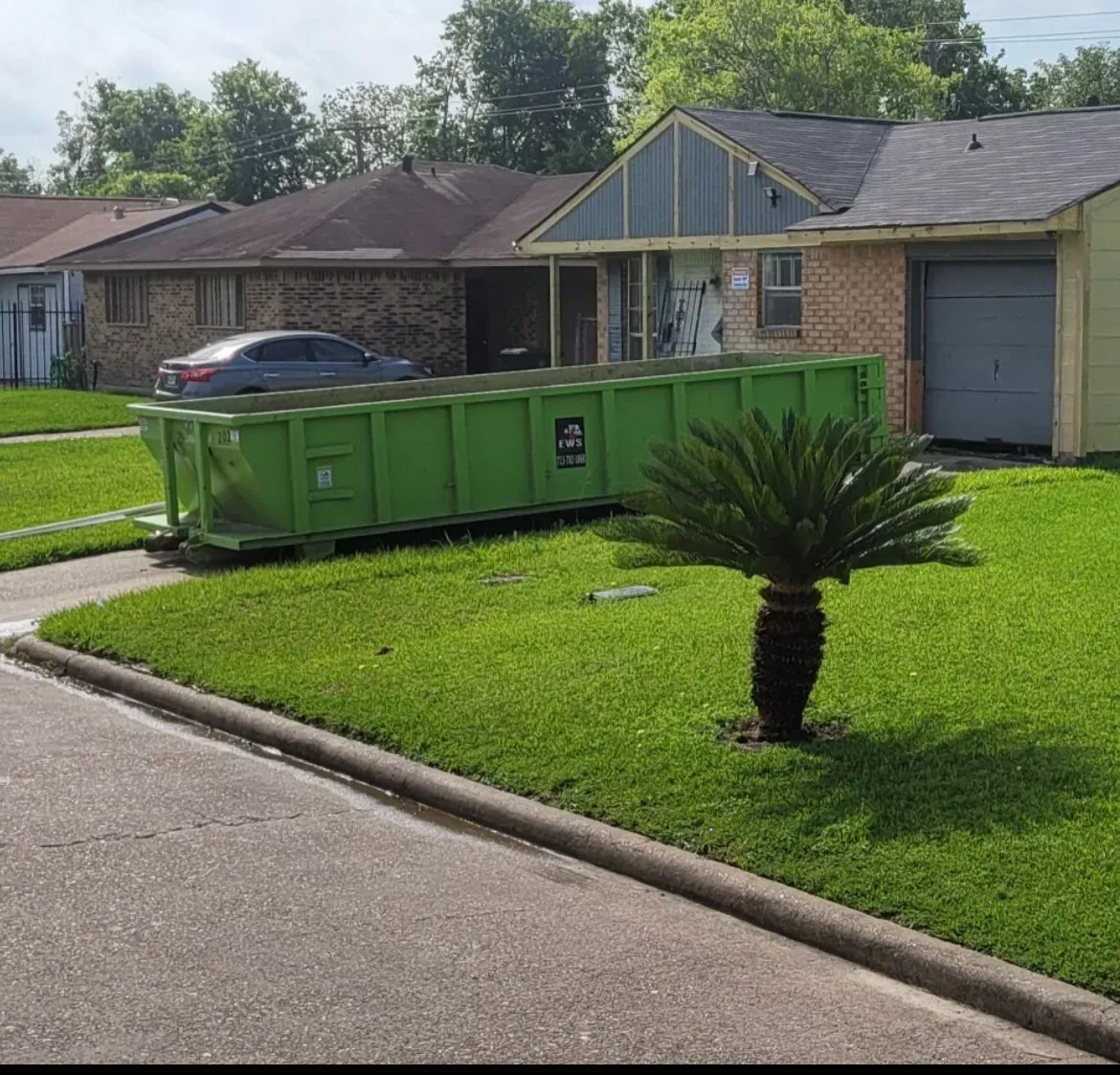 Green dumpster on a residential lawn, next to a small palm tree. Houses in background, sunny day.