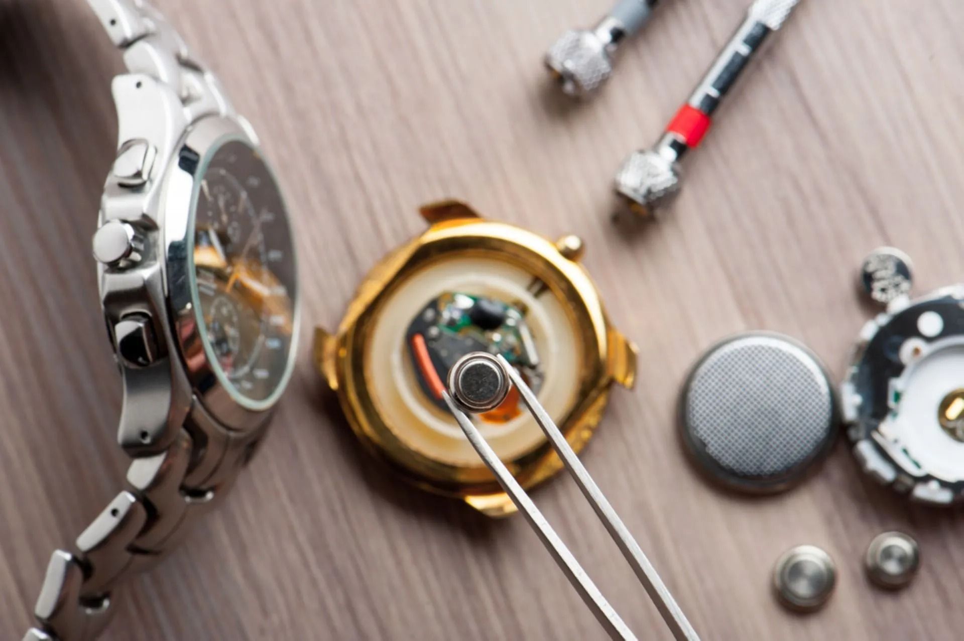 Watch Repair: Open Watch, Battery Replacement Tools, New Batteries  — Coastal Clocks & Watches in Buddina, QLD