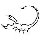 Interesse anzeichen mann skorpion Der Skorpion