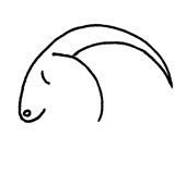 Steinbock Mann wie zeigt er Interesse