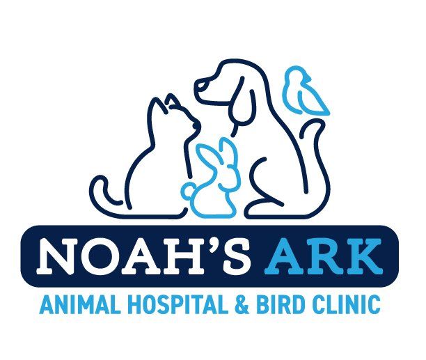 Dog Boarding Columbia Mo Noah S Ark Animal Hospital Bird Clinic