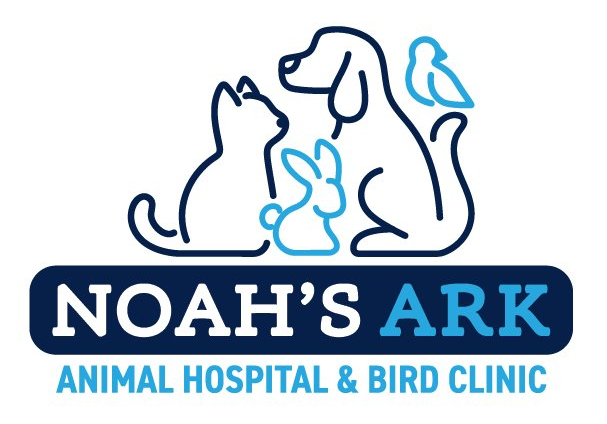 Animal Hospital Columbia Mo Noah S Ark Animal Hospital Bird Clinic
