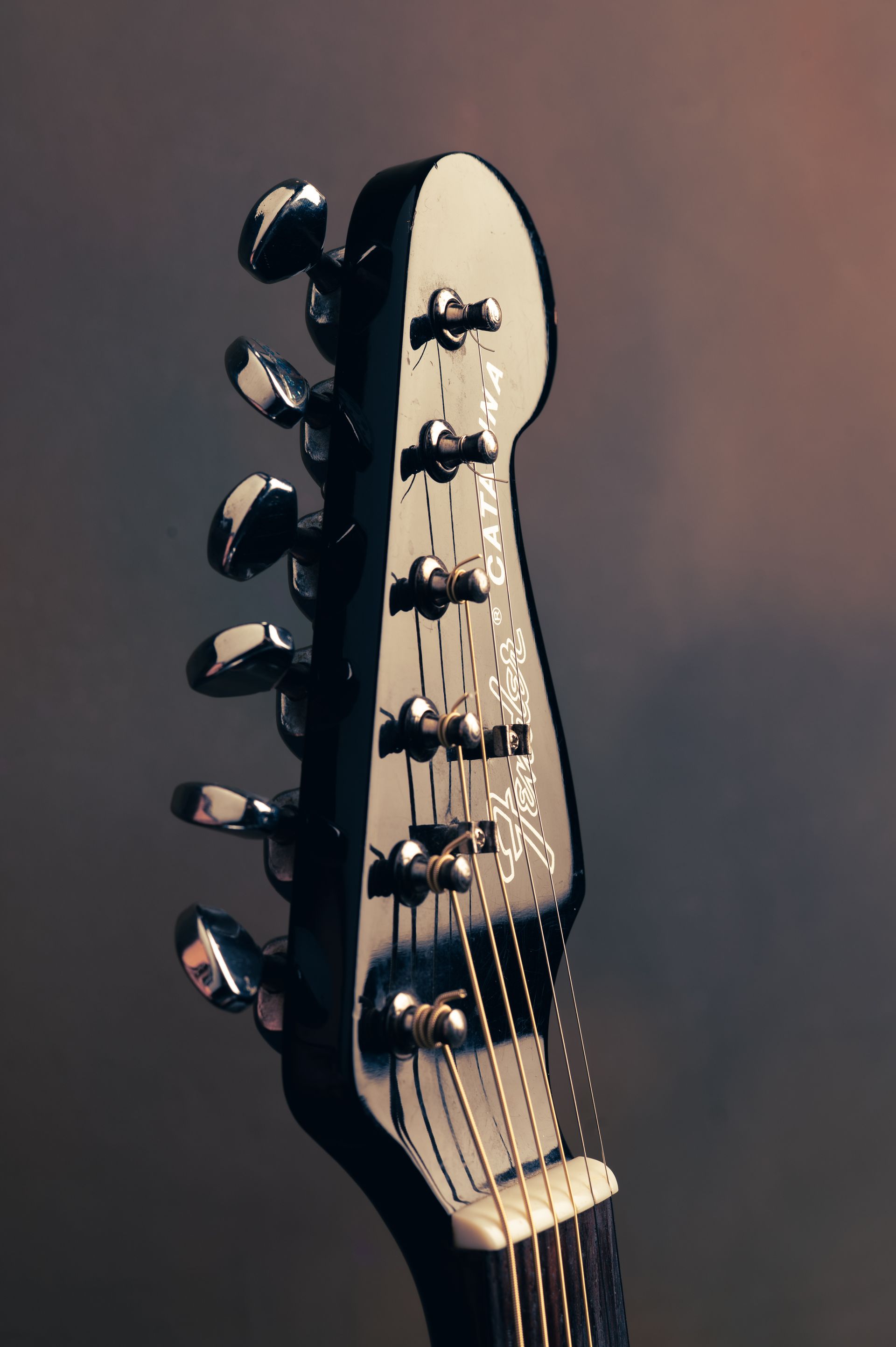 Black guitar headstock with tuning pegs and Fender logo.
