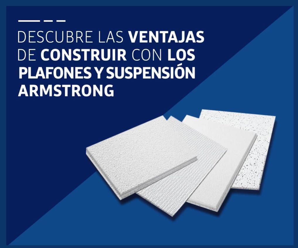 DISTRIBUIDORA DE PLAFONES Y PANELES DE YESO SA DE CV-PLAFONES TEXTURIZADOS Y LA MEJOR CALIDAD