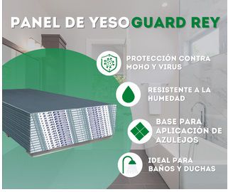 DISTRIBUIDORA DE PLAFONES Y PANELES DE YESO SA DE CV-PANEL DE YESO