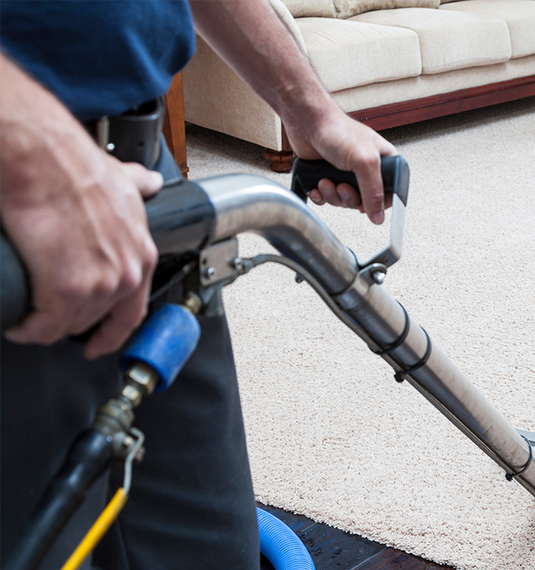 A man cleaning a carpet - Silverdale, WA - Greenshield Home & Carpet