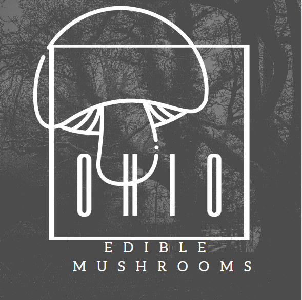 Edible Mushrooms in Ohio Complete Forager's Guide