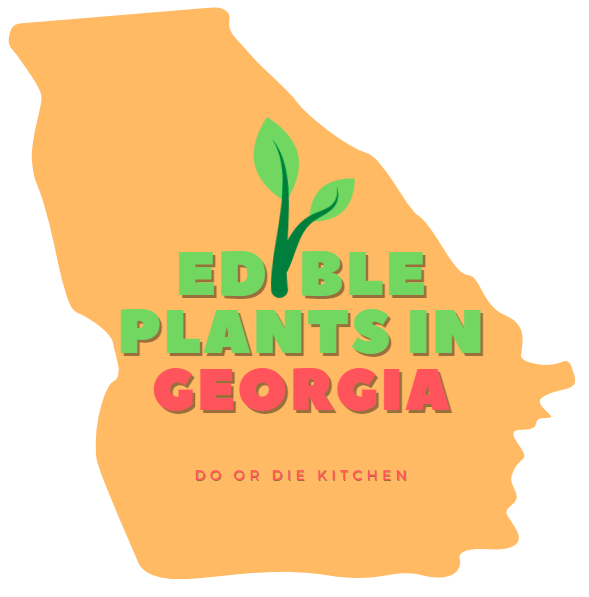 Edible Plants in [Foraging Guide & Tips]