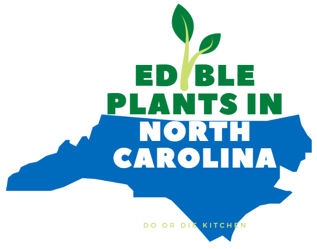 Edible Plants in North Carolina