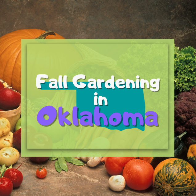 Guide to Fall Gardening in Oklahoma