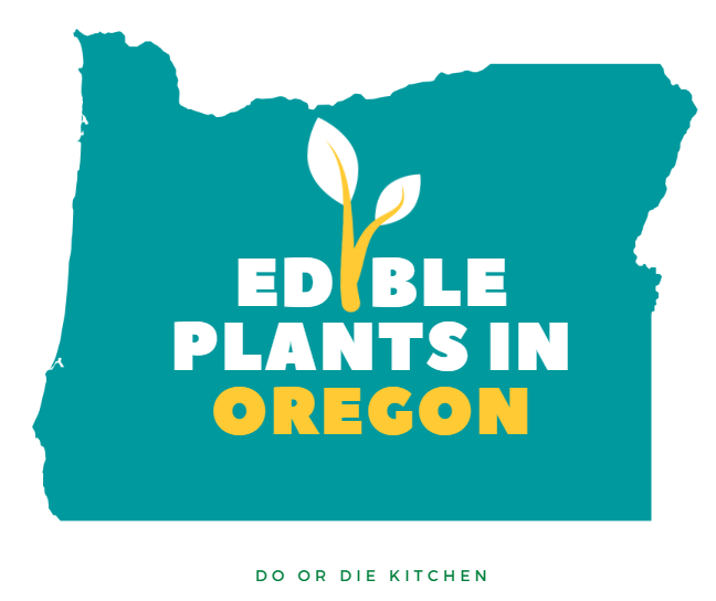 Edible Plants in Oregon [Foraging Guide for Beginners]