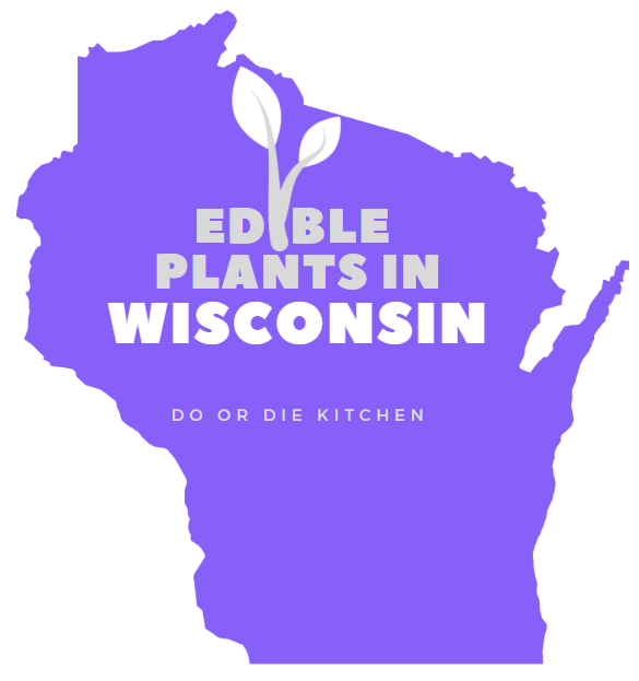 Edible Plants in Wisconsin