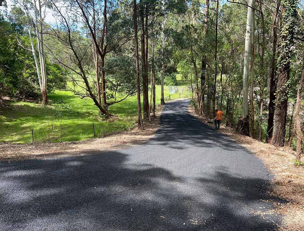A Road Going Through a Forest With Trees on Both Sides — North Coast Asphalts in Dorrigo, NSW