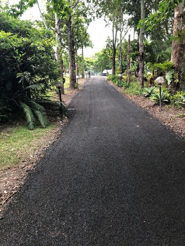 A Road Going Through a Forest With Trees on Both Sides — North Coast Asphalts in Corindi Beach, NSW